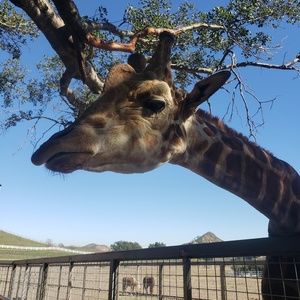 Meet your Posher, Denise